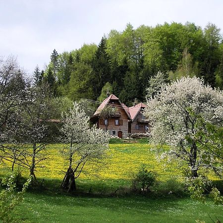 Konaci Zaovljanska Jezera Daire Zaovine Dış mekan fotoğraf