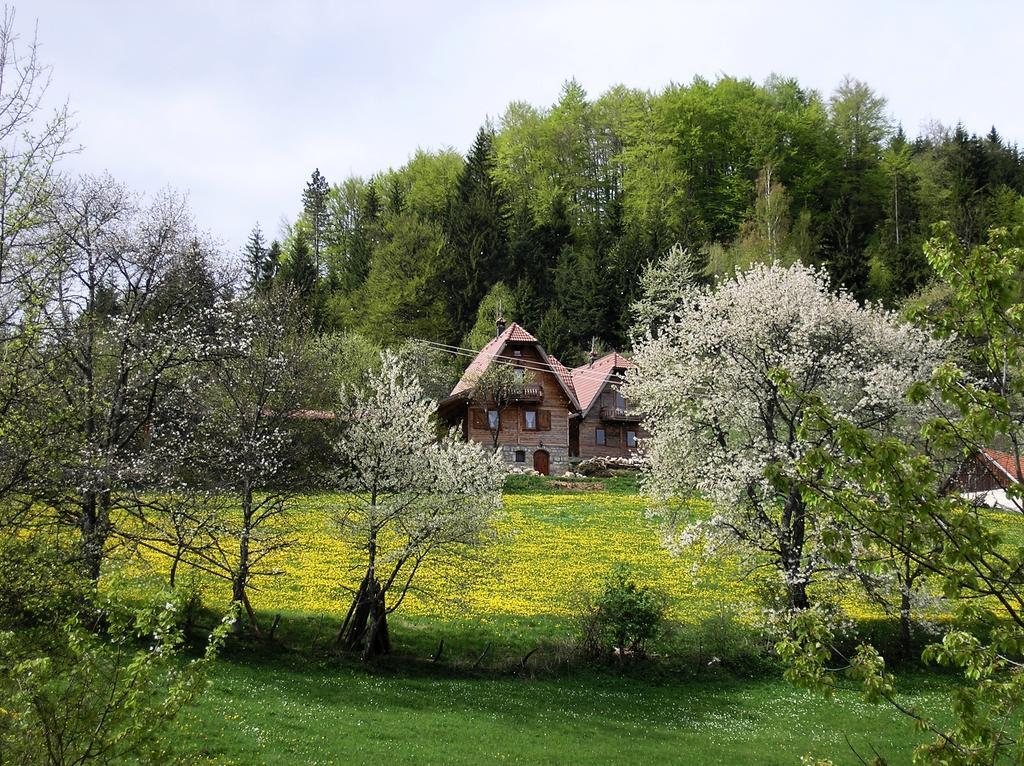 Konaci Zaovljanska Jezera Daire Zaovine Dış mekan fotoğraf