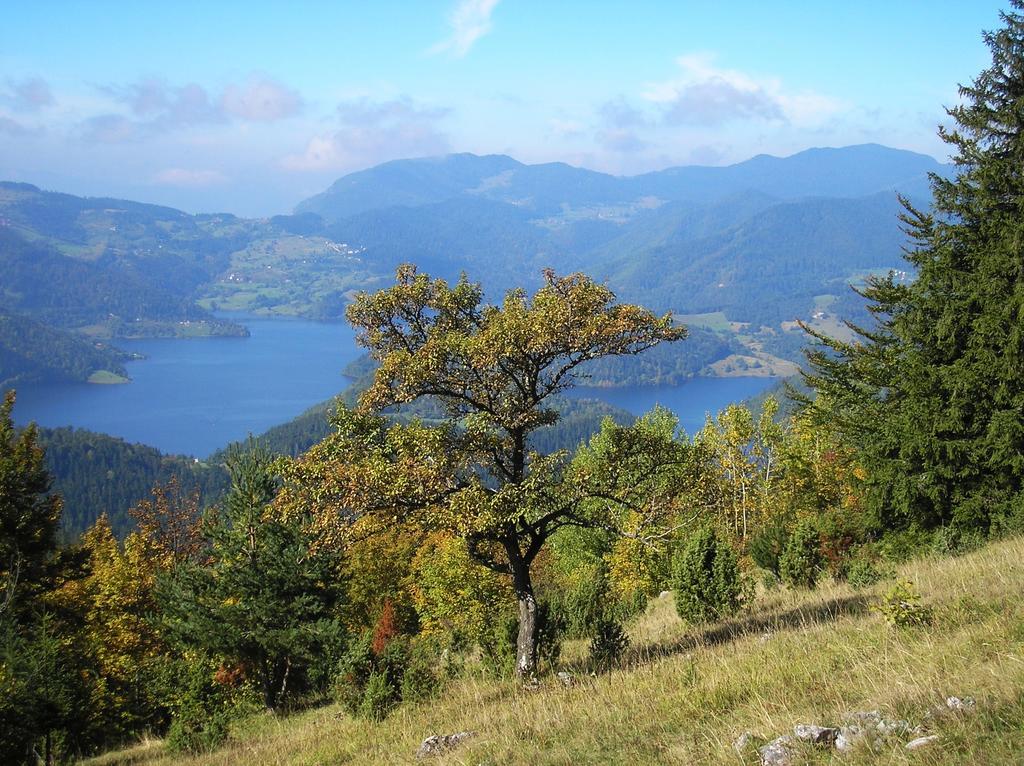 Konaci Zaovljanska Jezera Daire Zaovine Dış mekan fotoğraf