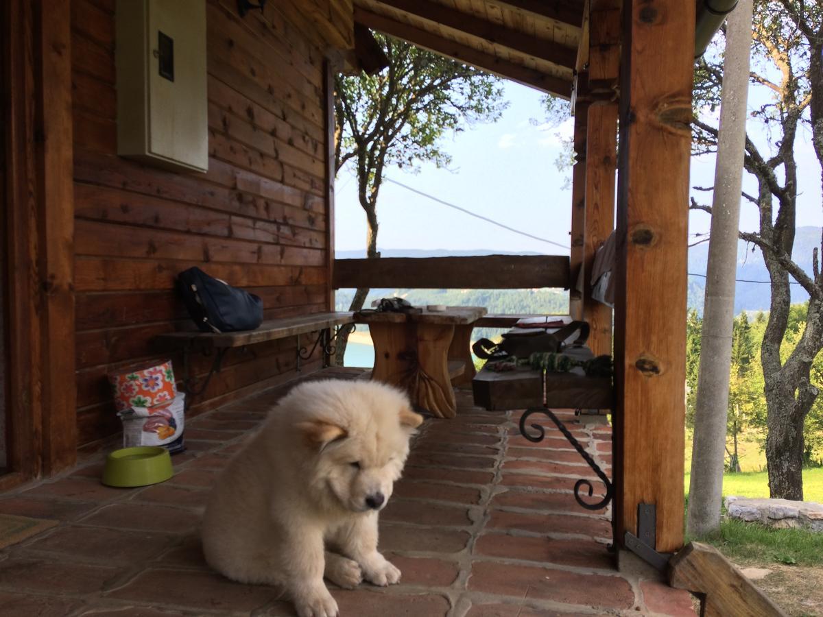 Konaci Zaovljanska Jezera Daire Zaovine Dış mekan fotoğraf