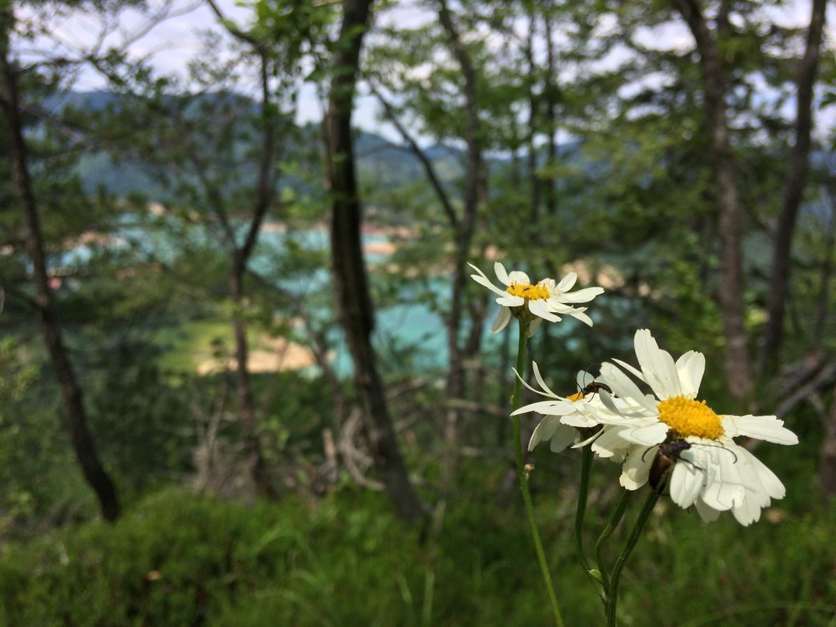 Konaci Zaovljanska Jezera Daire Zaovine Dış mekan fotoğraf